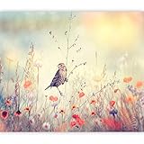 DEKORATIVE FOTOTAPETE: Sie glauben gar nicht was für eine positive Veränderung diese Fototapete bewirkt. Trauen Sie sich & Sie werden staunen. Der selbe Raum - völlig anders!