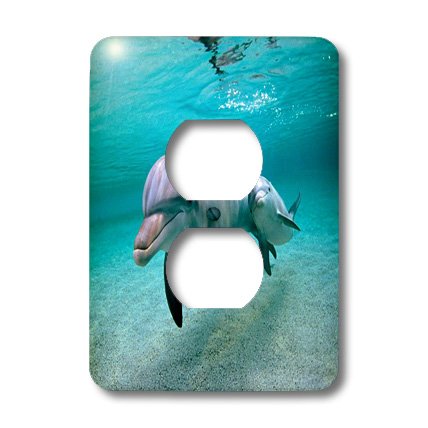 Cubierta para interruptor de luz de delfines con diseño lsp_174377_6