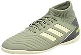 adidas Jungen Predator 19.3 In J Fußballschuhe, Verleg/Arena/Amasol, 30 EU