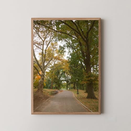 Central Park Print, Central Park Photo Poster, Central Park Travel Wall Art, Central Park, Central Park Photography, New York, USA 11
