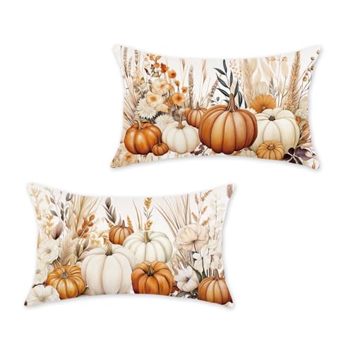 HOMFREEST Fall Pumpkins Pillow Covers 12x20 Inch Set of 2 Pumpkin Floral Decorative Pillowcases Thanksgiving Autumn Seasonal Farmhouse Patio Outdoor Cushion Cases for Sofa Couch