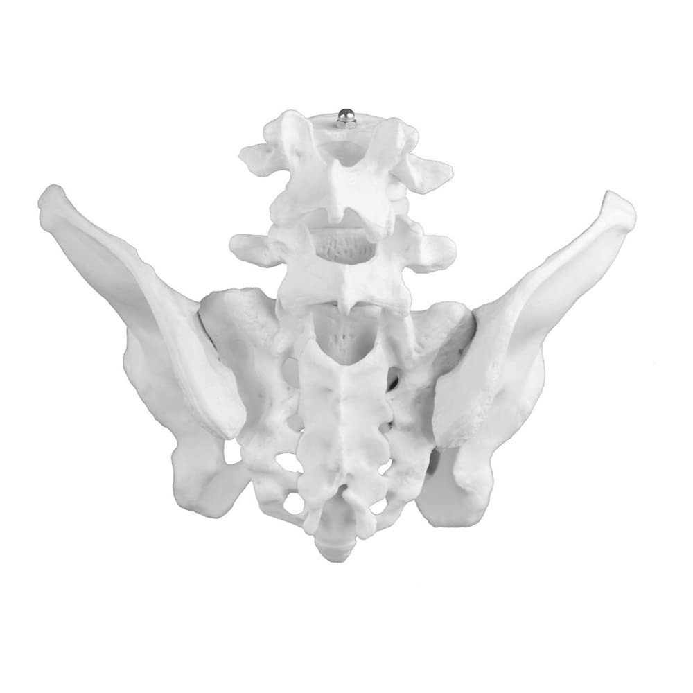 Set of Three Mystic Scrying Spheres: by Gypsy Palace (Unakite)