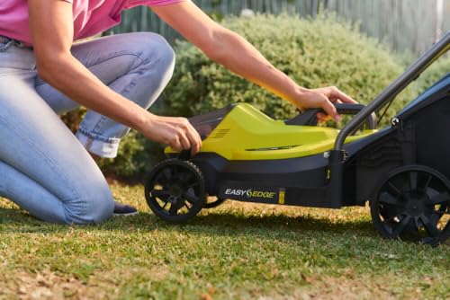 Ryobi RAC434 Lawn Blade - Close Up
