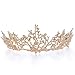 Czemo Prinzessin Diadem Hochzeit Tiara Rosegold Barocke Königin Krone für Hochzeit, Festzüge, Party