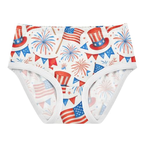 Joisal Toddlers Underwear Floral 2t Cotton Girl Panties Cute Fun Briefs Undies Kids American Flags White Cartoon