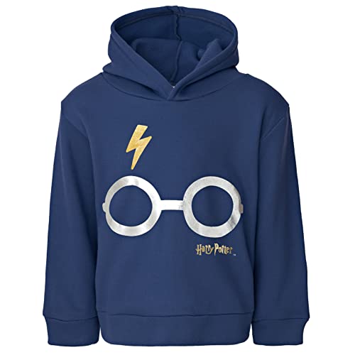 Harry Potter Griffindor Sudadera con capucha de manga larga de forro polar, Azul, 18-20