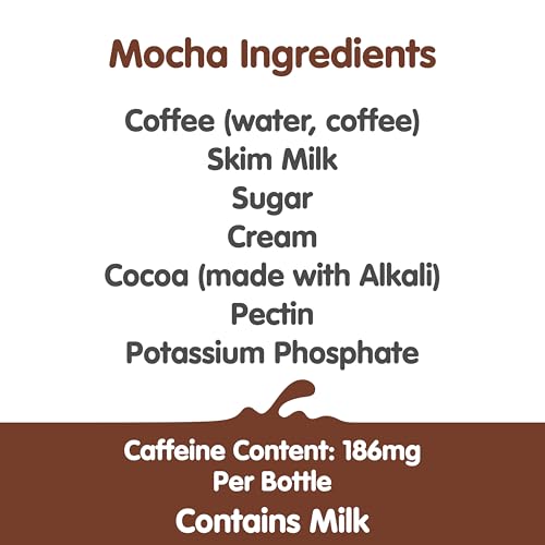 Dunkin' Mocha Iced Coffee Bottle