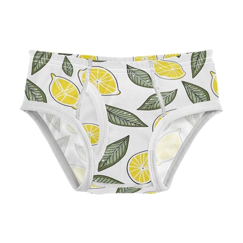 visesunny Boys Potty Training Underwear Fresh Lemon Greens Breathe Cotton Briefs Size 2T-8Y for Toddler