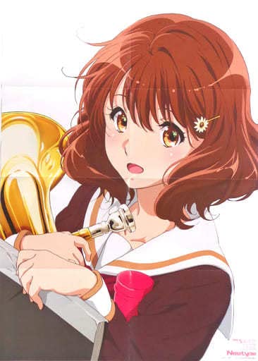 響け！ユーフォニアム　誓いのフィナーレ　ポスター Amazon.co.jp: ニュータイプ 2019年 5月号 付録 響け