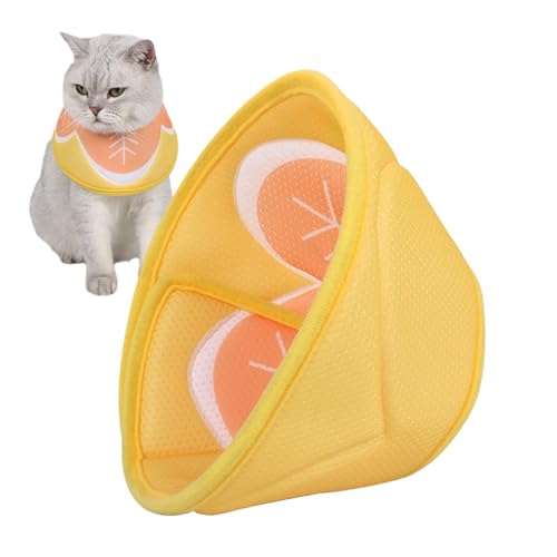 L̂Ȃ߂Ȃ pփR[ | q̎֎ی - ^p̃\tgbVzO[~Oybg