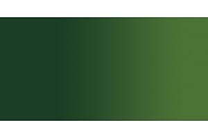 Holbein Duo Aqua Water Soluble Oils - Sap Green (B) 40ml Versatile