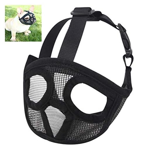 Rapoyo Munkorg för hundar med platt nos, justerbar, andas engelsk bulldogg, fransk bulldogg, shih-tzu mops, även lämplig för katter.
