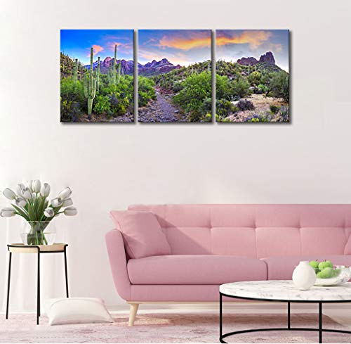 Klvos 3 Piece Tropical Plants Canvas Wall Art Saguaros In Sonoran Desert Arizona Picture Print On Canvas Landscape Modern Home Decor Stretched And Framed Ready To Hang - 16"X20"X3 Panels #TOP2