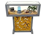 Ameisenfarm-Set T – Mini-Natursand 15x5x16 – Gratis Ameisen inklusive ┃ 20–30 Ameisen