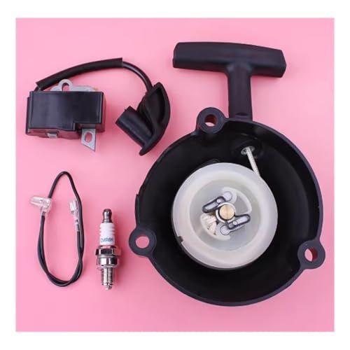 Bobine d'allumage pour réparer le démarrage difficile des souffleurs BR500 BR550 BR600