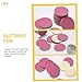 Outanaya 50pcs Pedicure Sanding Discs Set Pink Replacement Pads for Electric Grinder for Calluses and Dead Skin Removal Easy to Use Suitable for All Ages