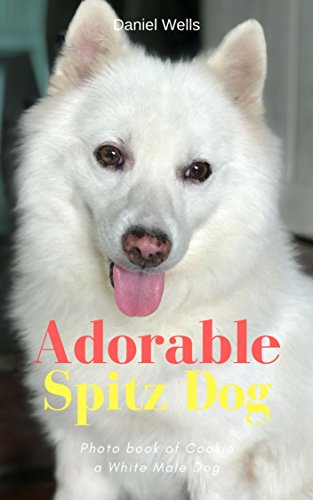 Adorable Spitz Dog Picture Book for Kids: Photo Shoot from A Cute White Dog Name Cookie (English Edition)