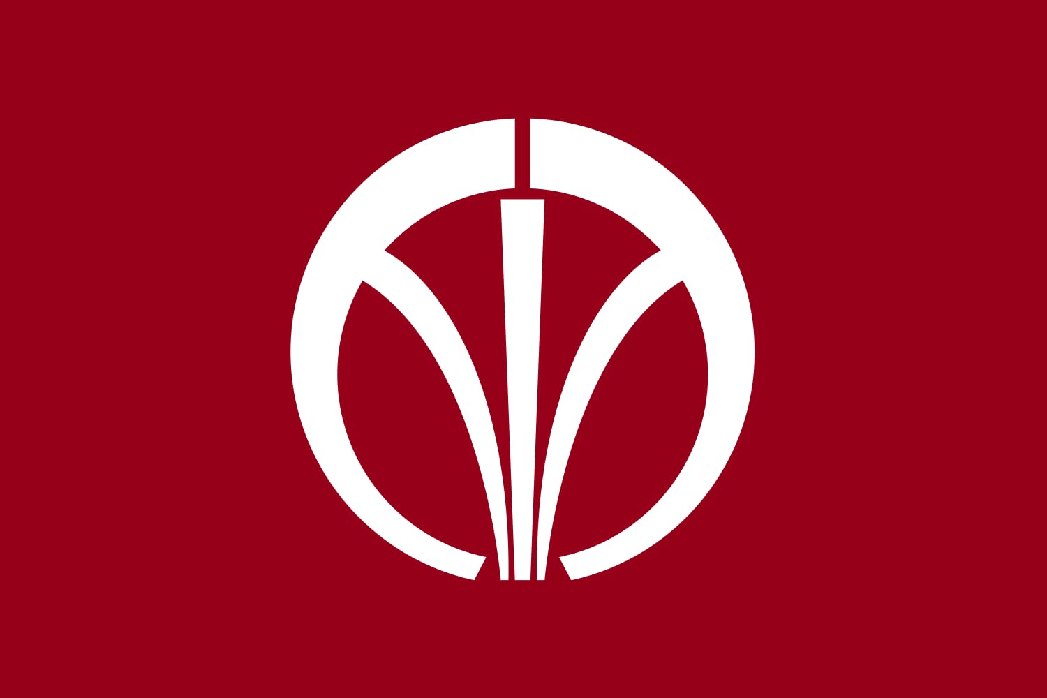Drapeau de Iizuka Fukuoka grand format pour mât extérieur
