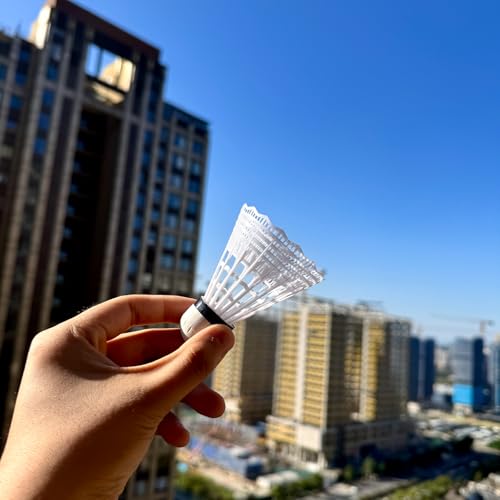 image for TIanWenYD 12 Packs Badminton Shuttlecocks Nylon Feather Shuttlecocks B