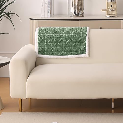 Image of HOKIPO 'Italian Caelora' Luxury Jacquard Plush Sofa Backrest Cover Mat 55x80 cm | Pack of 1 Anti Slip Backrest Mat, Sage Green (AR-6225-GRN)