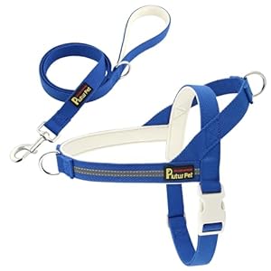 Plutus Pet Cotton Dog Harness and Leash Set, Reflective and Soft Padded, Quick Fit Vest Harness, for Small, Medium and Large Dogs, Royal Blue, S