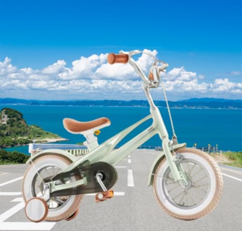 ZVTW �q���p���]�ԁA�c���p���]�ԁA�y�ʁA�j�̎q�Ə��̎q�ɓK���Ă���A�⏕�ւƃo�X�P�b�g�t���A�g�ݗ��Ă��ȒP�A2?7�΂̎q���ɓK���Ă��܂��B (14�C���`,�O���[�� (B))