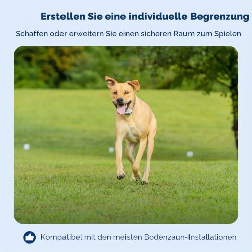 PetSafe Begrenzungsdraht, 152,4 m Spule mit solidem Kern 20-Gauge Kupferdraht, In-Ground Pet Zaundraht, Farben können variieren