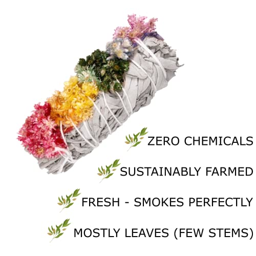 Mecka White Sage Smudge Sticks Floral Variety Pack (6 Pack) | Sage,Flower Bundles With Rose,Sunflower For Stress Relief,Open Chakras,Serenity | Burn For Cleansing,Smudging,Removal Of Negative Energy #TOP2