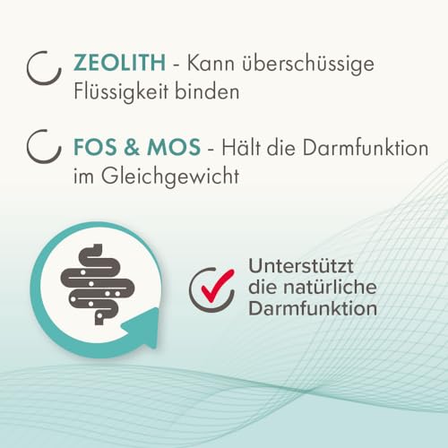 BEAPHAR - IntestoPro Paste Für Hunde - Mit Zeolith - Mit MOS & FOS - Unterstützt Das Gleichgewicht Der Darmfunktion - 2 x 20 ml