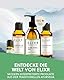 ELIXR – Japanisches Minzöl zur Raumbeduftung, für Aromatherapie & als Massageöl – 100% naturreines ätherisches Öl aus Japanischer Minze – zertifizierte Naturkosmetik aus Deutschland (10ml)