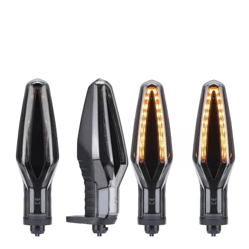 Moto clignotant indicateur pour R NineT et F900R en balade