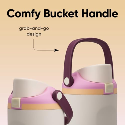 Image of Owala FreeSip Sway Insulated Stainless Steel Water Bottle with Two-Way Spout, Built-In Straw and Bucket Handle, Made for Travel, School, and Sports, 40oz, BPA Free, Leak Proof, Daybreak