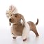Dachshund