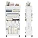 YEMUNY 5 Tier Rolling Utility Cart Multi-Functional Movable Storage Book Shelves with Lockable Casters for Study Office Kitchen Classroom, White