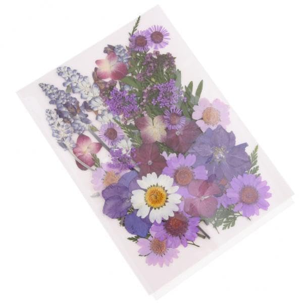 3x10Pcs Multiple Mix Natural Pressed Dried Flowers Leaves DIY Arts Crafts E-image-14