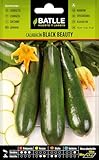 Peyca Semillas Horticolas - Calabacín black beauty - Semillas Batlle