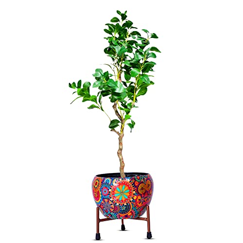 Image of Kayra Decor 4 Feet Magnolia Tree -Artificial Plants with Pot for Home Decor Big Size