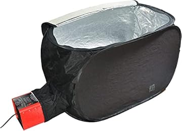 best heater to kill bed bugs