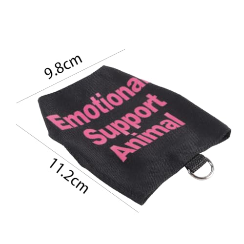 Durlo Bartagamen-Geschirr- und Leinen-Set, verstellbar, für Reptilien und Eidechsen, weiches Segeltuch, Weste, Kleidung, Outdoor-Walking-Training, rosa Starter-Set