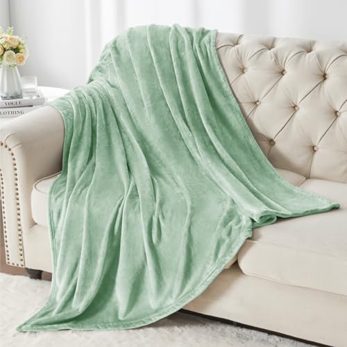 Image of BEDELITE Fleece Blanket King Size Blankets for Bed, Luxury Plush Cozy Fuzzy Blanket 108x90 inches, Super Soft Warm Lightweight Throw Blanket All Seasons Suitable, Mint Green