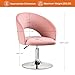 Furniliving Vanity Chair Contemporary Height Adjustable Round Velvet Back Tilt Swivel Accent Chairs 360° Swivel Makeup Chair with Chrome Frame Charming Stool Lounge Pub Bar (Pink)