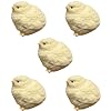 Handmade Chick Taba Squeeze Toy, Cute Chicken Quiet Squishy Fidget Toy, Stress Relief Squeeze, Kids Favor Squeeze, Squeeze Toy for Kids, Squeeze Chick Shaped Toys, Fidget Toys for Adults Kids 5 Pcs