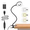 iZELL Desk Lamp, [3 Color Modes & 10 Brightness] LED Reading Light with Clamp, Flexible Gooseneck Book Light for Kids Reading Book in Bed at Night Clip on Table, Headboard, Dorm – 15.8‘’ Black
