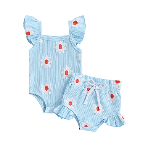 Image of LIOMENGZI Baby Girl Summer Clothes Baby Girl Outfit Flower Print T Shirt Top Elastic Waist Short Infant Newborn Clothing Set (Blue Daisy, 0-6 Months)