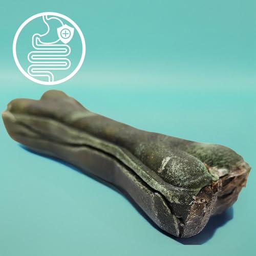 MERSJO Fresh BITE Bone, Funktionaler Kauknochen, Hundeleckerli mit Wachtel, Minze, Papaya & Spirulina – 13,5 cm, 70 g – Natürlicher Kausnack für frischen Atem & gesunde Verdauung, 100% Natur