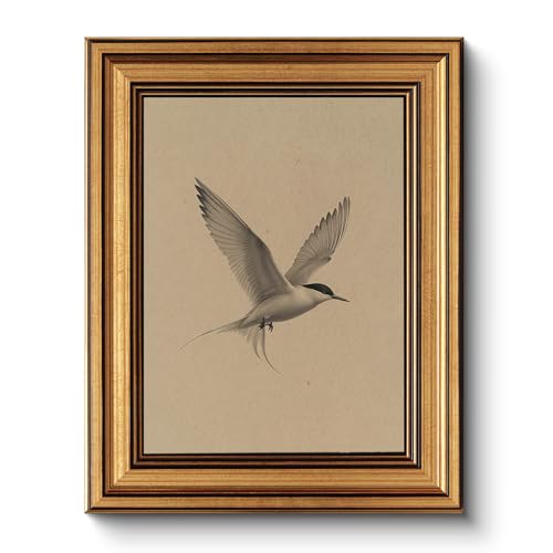 WHASAYART Gold Framed Vintage Wall Art for Living Room, Birds Ani...