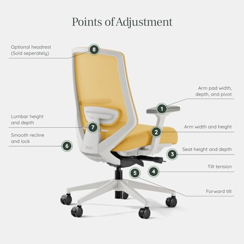 Image of Branch Ergonomic Chair Pro, Mesh Office Chair with 14 Points of Adjustment | Height, Depth and Tilt Adjustable, 5D Armrests, Forward Tilt, Smooth Recline, and Lumbar Support, Spark