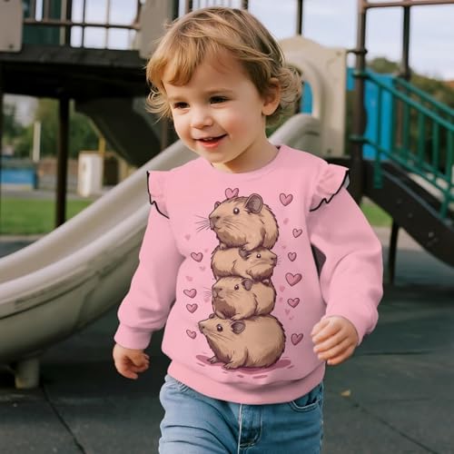 DISNIMO Shirts Toddler Girl Sweatshirts Crewneck Sweatshirts Pullover Kids Long Sleeve Shirts Ruffle Fall Clothes Outfit3