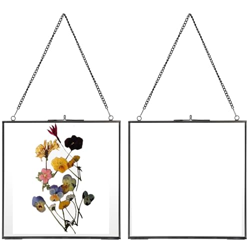 JUXYES Set of 2 Brass Wall Hanging Frame, Glass Floating Frame for Display Pressed Flowers Artwork, Double Glass Floating Style Square Gallery Wall Art