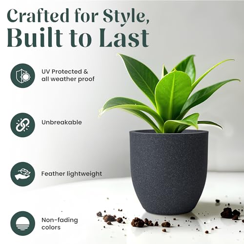 Image of YUCCABE ITALIA FOXB PCUP 12 INCH Pots for Plants Highly Durable Polymers Lightweight Indoor Outdoor Flower Pot Gamla Tree Planter Container Planters for Living Room, Balcony, Garden | Gray